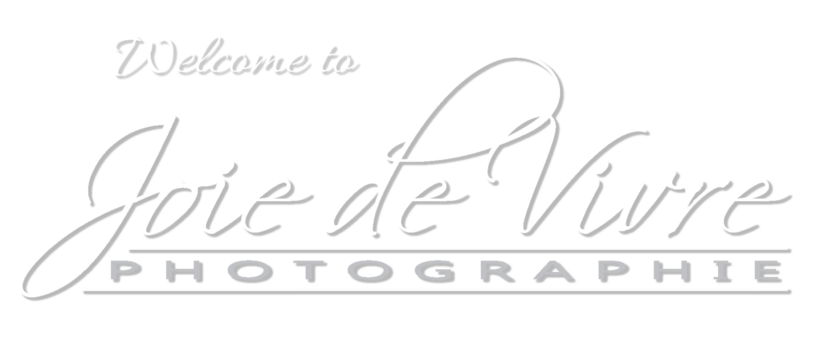 Joie de Vivre white logo